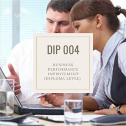 DIP 004 Business Performance Improvement 4