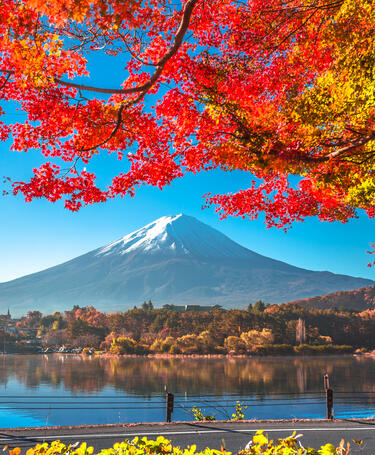 IGNITE STRATEGY AND EXCELLENCE WITH GLOBAL THOUGHT LEADERS – JAPAN 2026